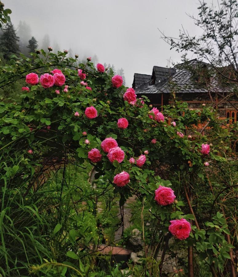Old Brahma Homestay Kalgha Kültér fotó