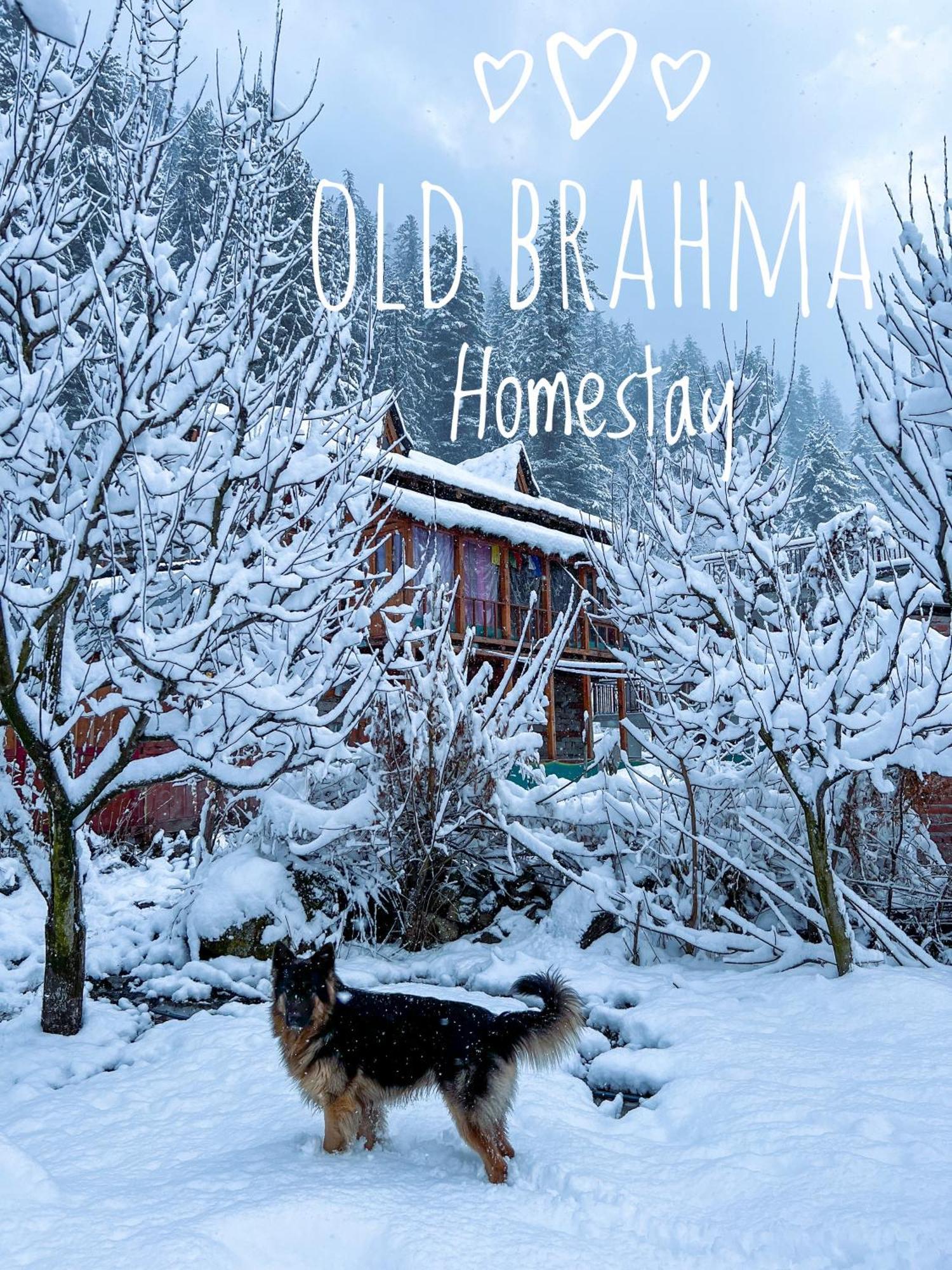 Old Brahma Homestay Kalgha Kültér fotó